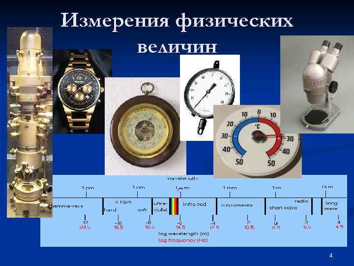 Измерение физических характеристик домашних животных презентация