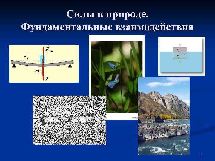 Силы в природе. Фундаментальные взаимодействия 1 