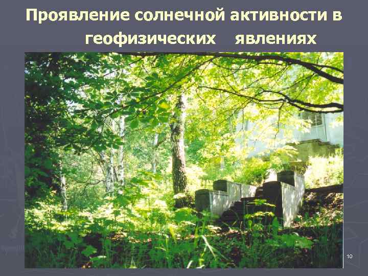 Проявление солнечной активности в геофизических явлениях 10 