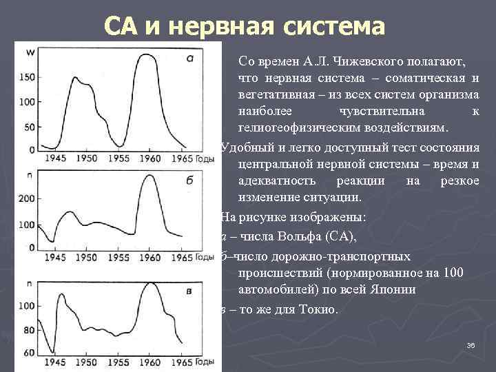 СА и нервная система Со времен А. Л. Чижевского полагают, что нервная система –
