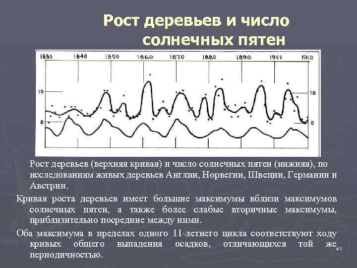 Рост деревьев и число солнечных пятен Рост деревьев (верхняя кривая) и число солнечных пятен
