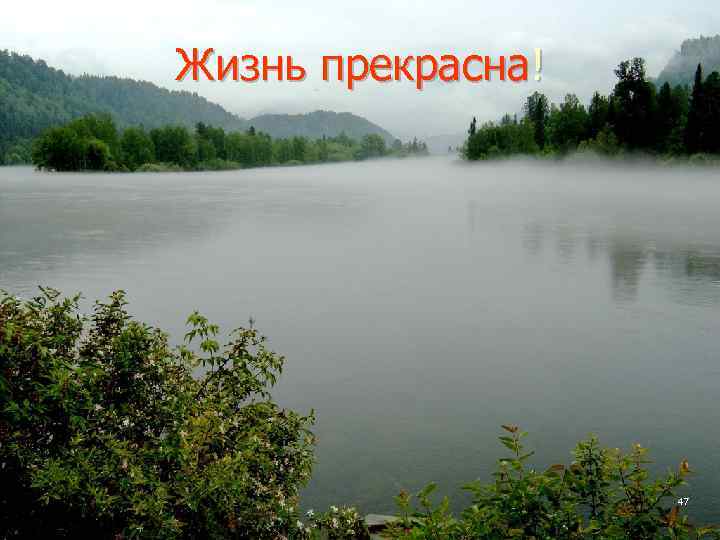 Жизнь прекрасна! 47 