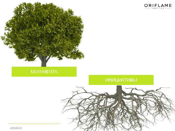МОЯ МЕЧТА ИНИЦИАТИВЫ 2018 -02 -10 Copyright © 2013 by Oriflame Cosmetics SA 4