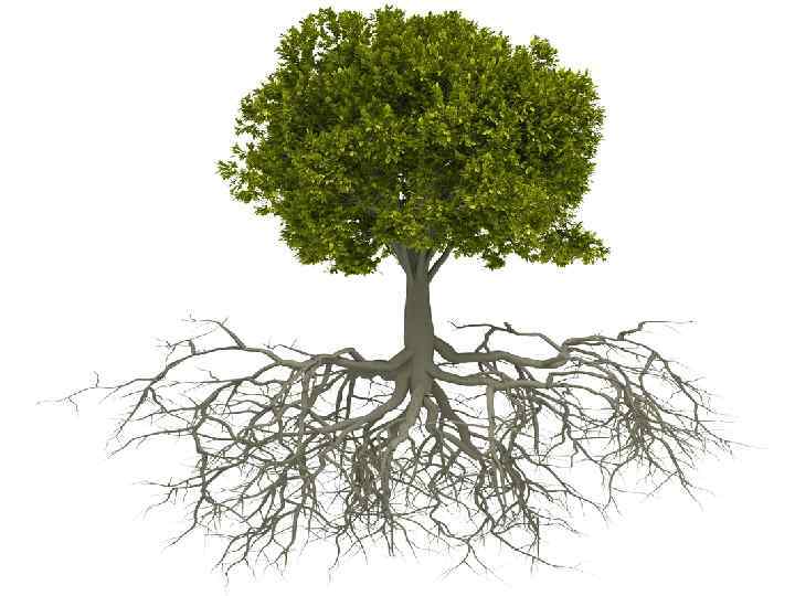 2018 -02 -10 Copyright © 2013 by Oriflame Cosmetics SA 5 