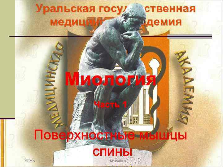 Уральская государственная медицинская академия УГМА Миология 1 