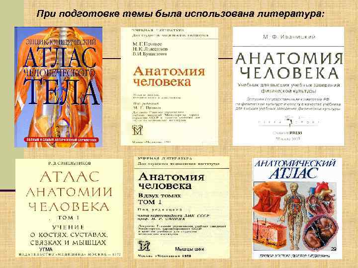 При подготовке темы была использована литература: УГМА Мышцы шеи 29 