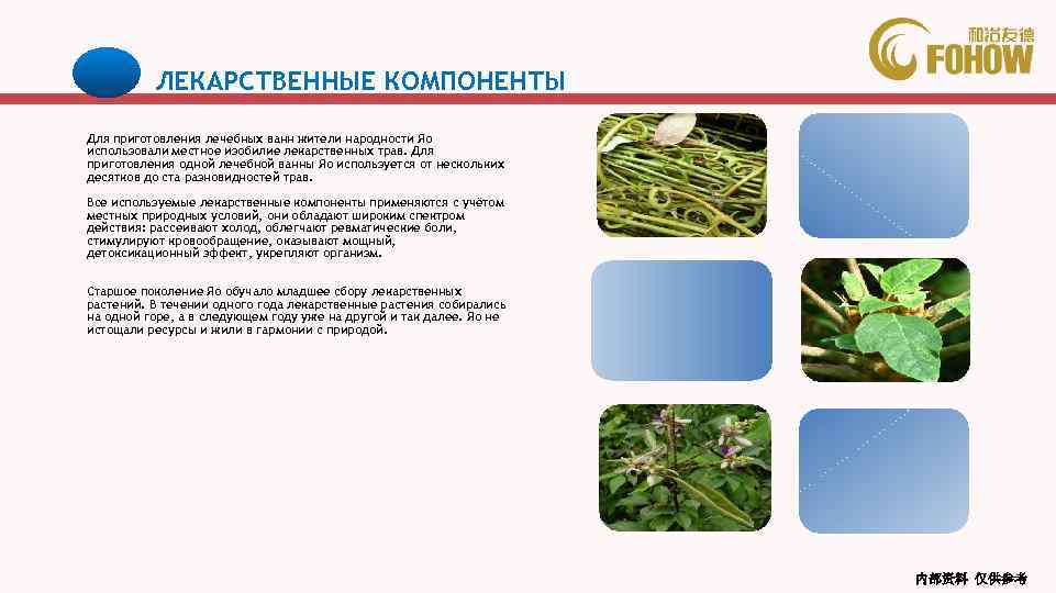 ЛЕКАРСТВЕННЫЕ КОМПОНЕНТЫ Для приготовления лечебных ванн жители народности Яо использовали местное изобилие лекарственных трав.