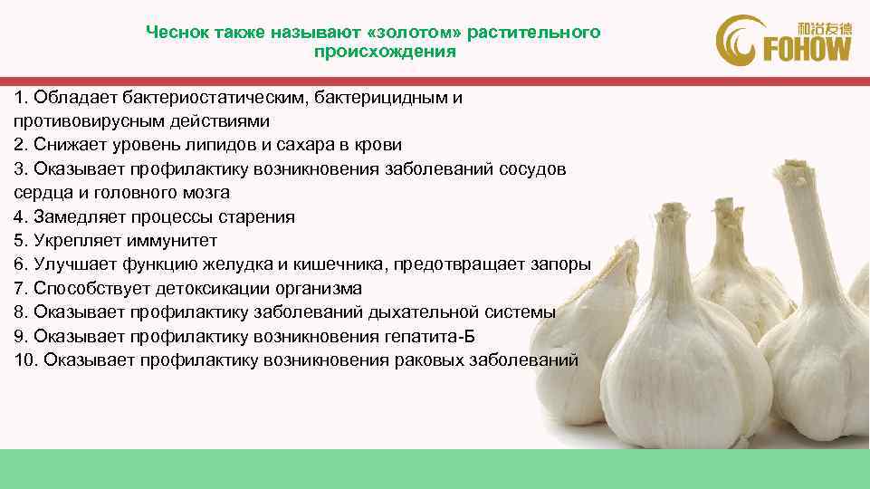 Чеснок также называют «золотом» растительного происхождения 1. Обладает бактериостатическим, бактерицидным и противовирусным действиями 2.