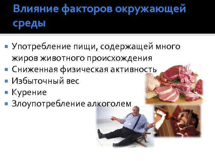 Влияние факторов окружающей среды Употребление пищи, содержащей много жиров животного происхождения Сниженная физическая активность