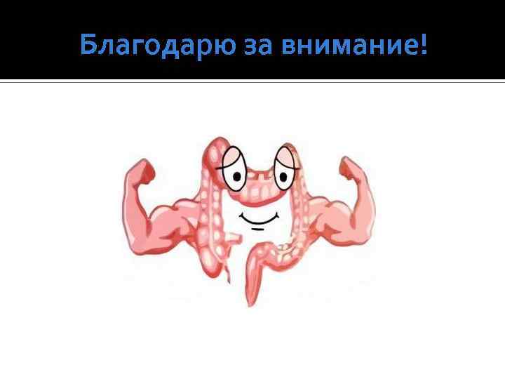 Благодарю за внимание! 