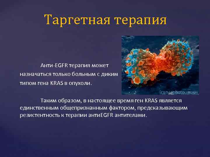 Таргетная терапия Анти-EGFR терапия может назначаться только больным с диким типом гена KRAS в