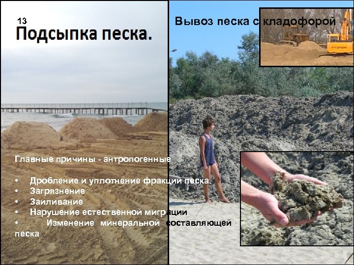 47 13 Вывоз песка с кладофорой Главные причины - антропогенные • Дробление и уплотнение