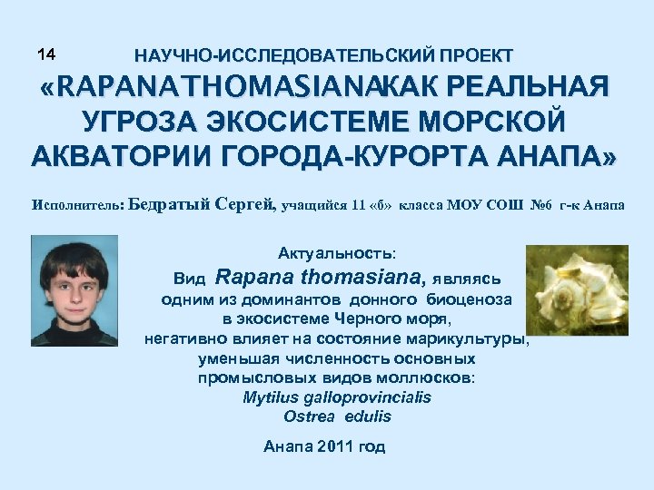14 НАУЧНО-ИССЛЕДОВАТЕЛЬСКИЙ ПРОЕКТ «RAPANA THOMASIANA КАК РЕАЛЬНАЯ УГРОЗА ЭКОСИСТЕМЕ МОРСКОЙ АКВАТОРИИ ГОРОДА-КУРОРТА АНАПА» Исполнитель: