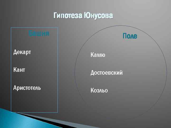 Гипотеза Юнусова Башня Поле Декарт Камю Кант Достоевский Аристотель Коэльо 