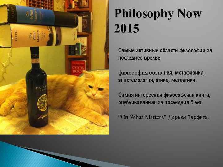 Philosophy Now 2015 Самые активные области философии за последнее время: философия сознания, метафизика, эпистемология,