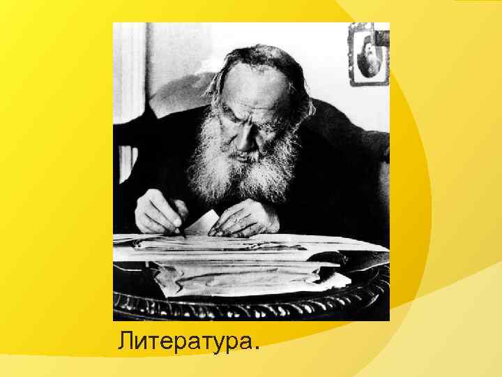 Литература. 