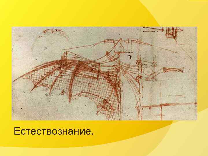 Естествознание. 