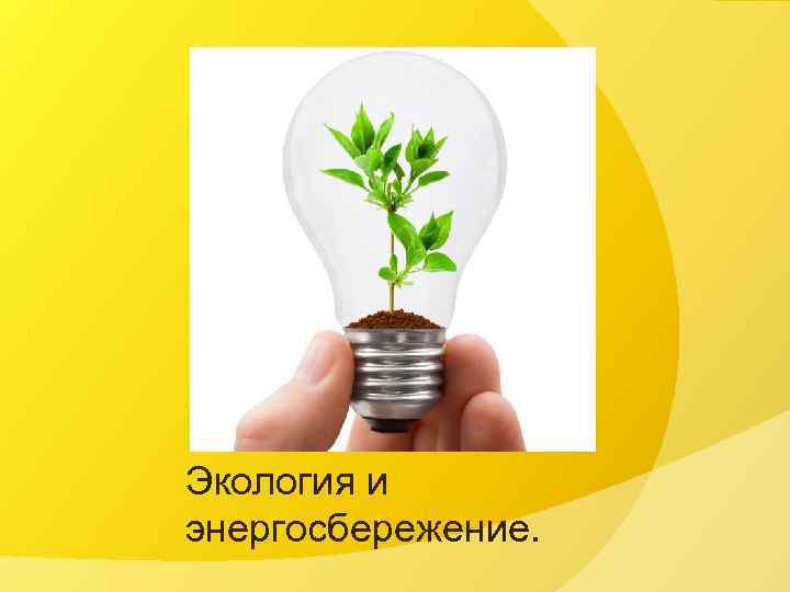Экология и энергосбережение. 