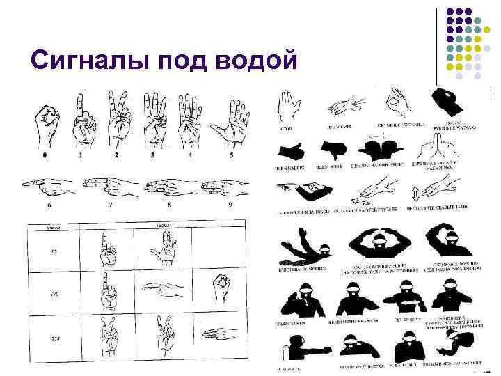 Сигналы под водой 41 