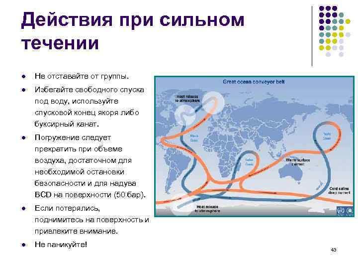 Действия при сильном течении l Не отставайте от группы. l Избегайте свободного спуска под