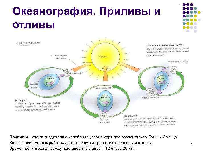 Океанография. Приливы и отливы Приливы – это периодические колебания уровня моря под воздействием Луны