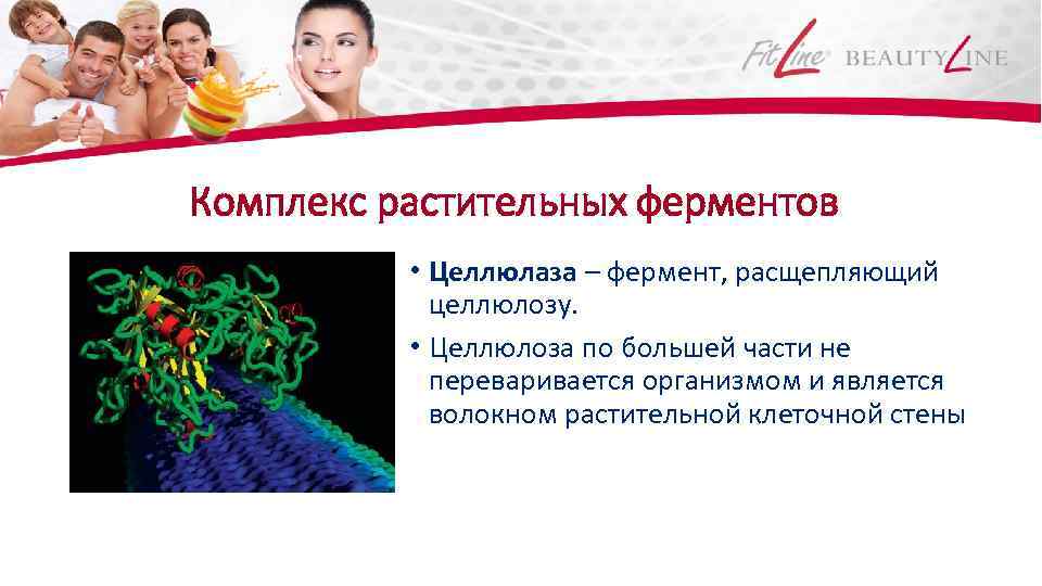 Комплекс растительных ферментов • Целлюлаза – фермент, расщепляющий целлюлозу. • Целлюлоза по большей части