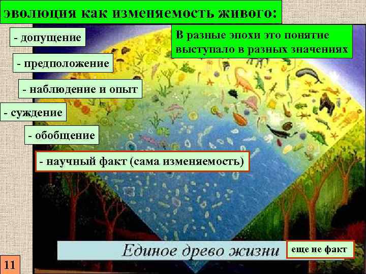 эволюция как изменяемость живого: - допущение В разные эпохи это понятие выступало в разных