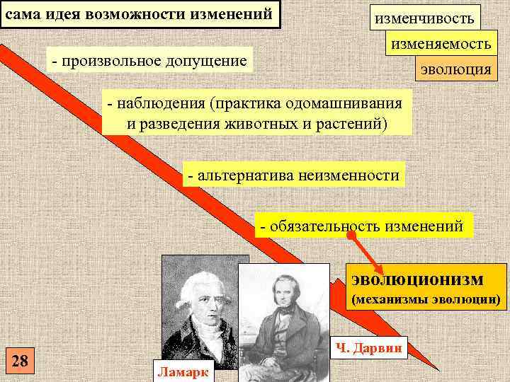 Механизмы эволюции презентация