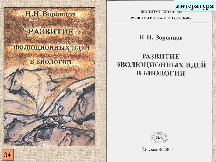литература 34 