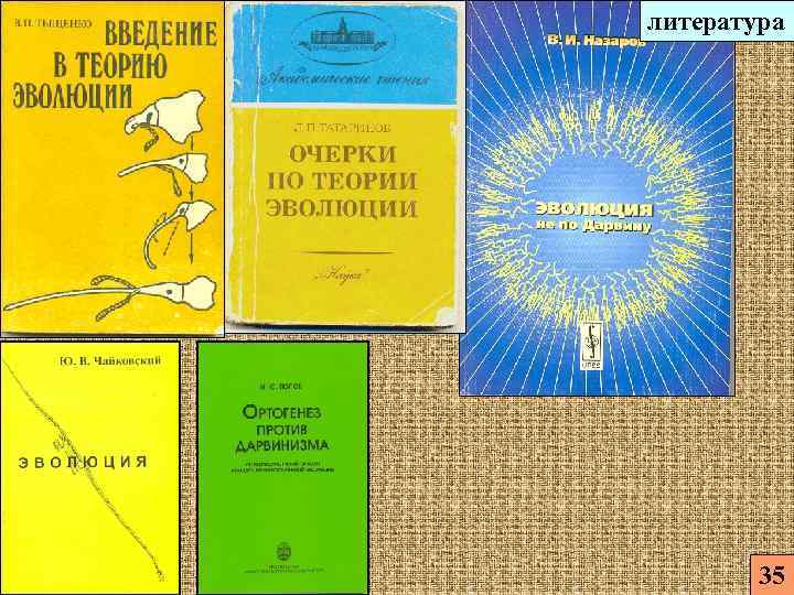 литература 35 