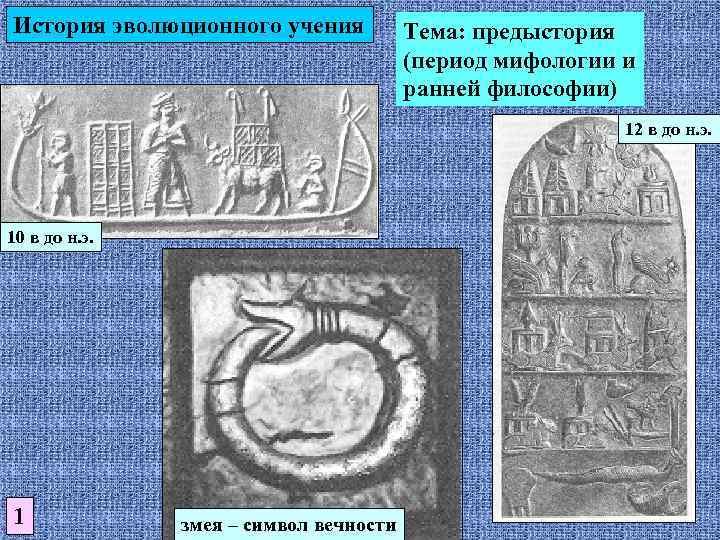 История эволюционного учения Тема: предыстория (период мифологии и ранней философии) 12 в до н.