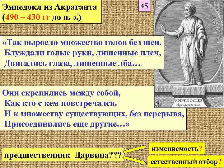 Эмпедокл из Акраганта (490 – 430 гг до н. э. ) 45 «Так выросло