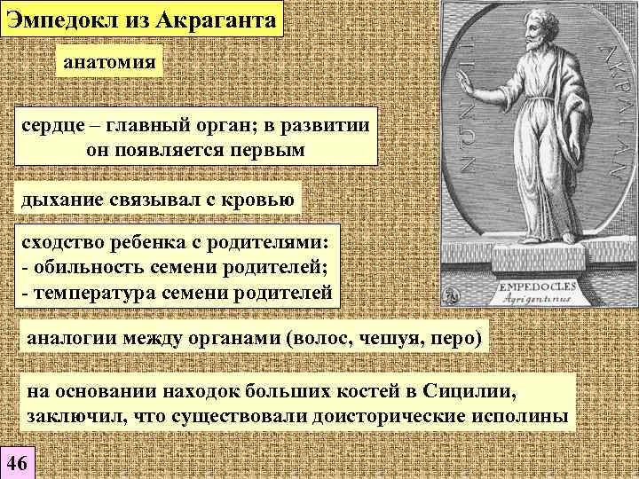 Эмпедокл из Акраганта анатомия сердце – главный орган; в развитии он появляется первым дыхание