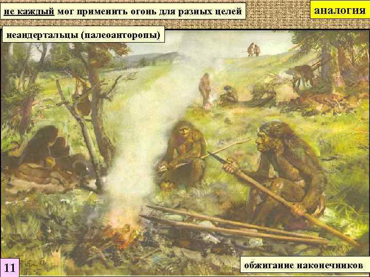 не каждый мог применить огонь для разных целей аналогия неандертальцы (палеоанторопы) 11 обжигание наконечников