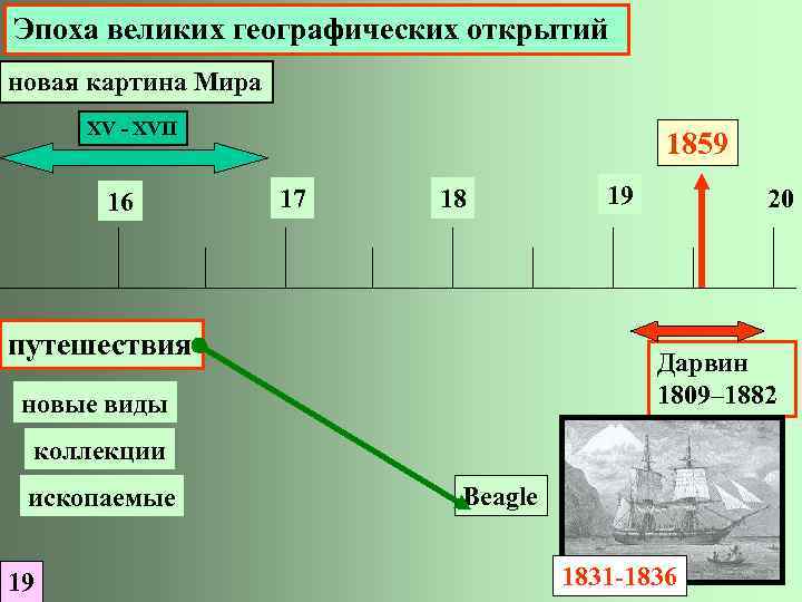 Эпоха великих географических открытий новая картина Мира XV - XVII 16 1859 17 18