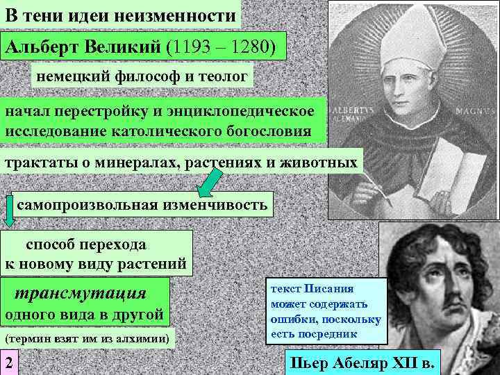 Великий основной. Философия средневековья - Альберт Великий. Альберт Великий основные идеи в философии. Альберт Великий 1193 1280 кратко. Альберт Великий (1193-1280).