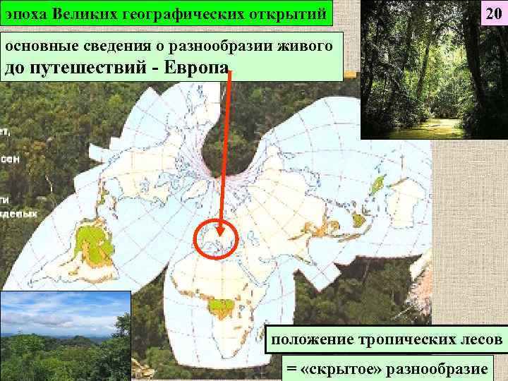 эпоха Великих географических открытий 20 основные сведения о разнообразии живого до путешествий - Европа