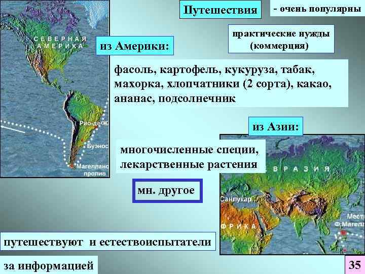 Путешествия из Америки: - очень популярны практические нужды (коммерция) фасоль, картофель, кукуруза, табак, махорка,
