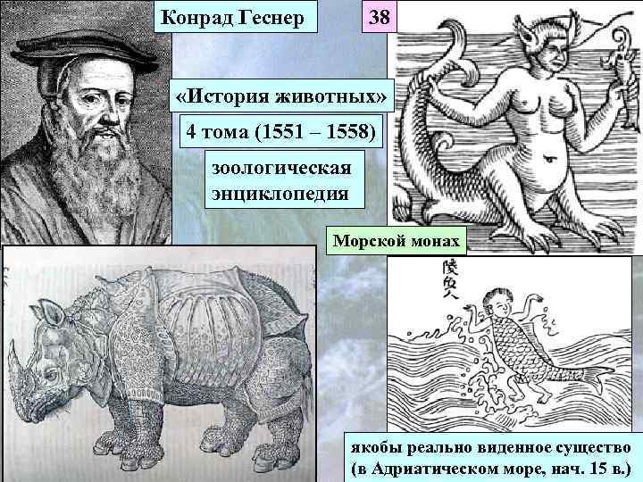 Конрад Геснер 38 «История животных» 4 тома (1551 – 1558) зоологическая энциклопедия Морской монах
