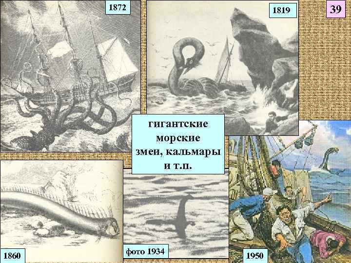 1872 1819 гигантские морские змеи, кальмары и т. п. 1860 фото 1934 1950 39