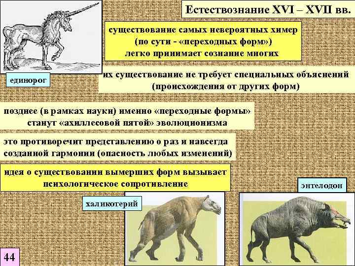 Естествознание XVI – XVII вв. существование самых невероятных химер (по сути - «переходных форм»