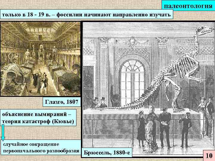 палеонтология только в 18 - 19 в. – фоссилии начинают направленно изучать Глазго, 1807