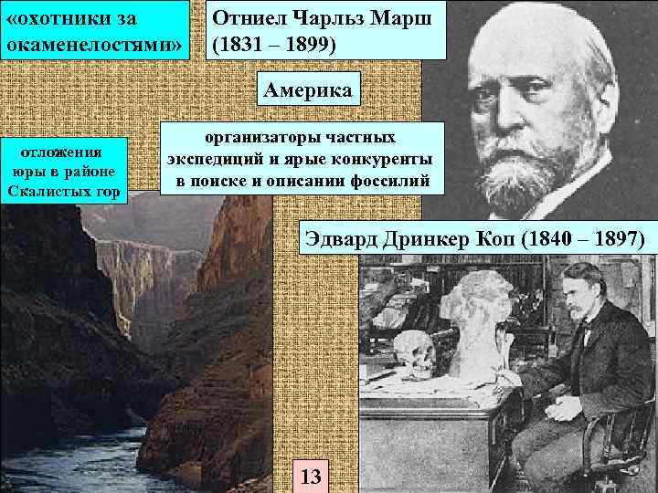  «охотники за окаменелостями» Отниел Чарльз Марш (1831 – 1899) Америка отложения юры в