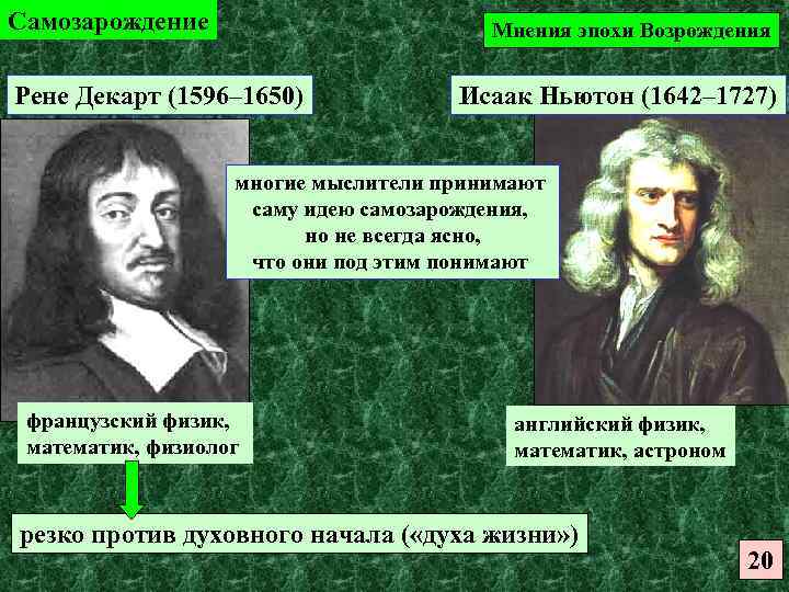 Самозарождение Мнения эпохи Возрождения Рене Декарт (1596– 1650) Исаак Ньютон (1642– 1727) многие мыслители