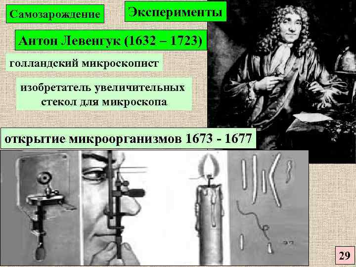 Самозарождение Эксперименты Антон Левенгук (1632 – 1723) голландский микроскопист изобретатель увеличительных стекол для микроскопа