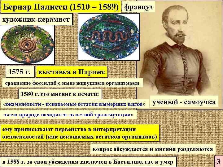 Бернар Палисси (1510 – 1589) француз художник-керамист 1575 г. выставка в Париже сравнение фоссилий