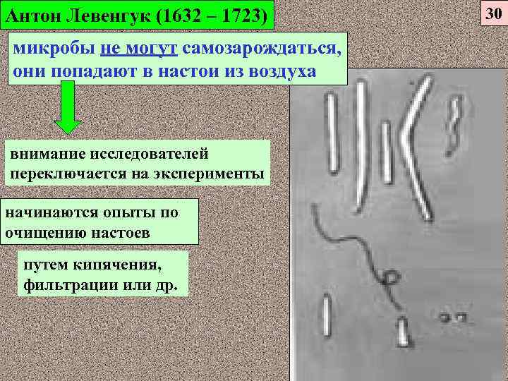 Антон Левенгук (1632 – 1723) микробы не могут самозарождаться, они попадают в настои из