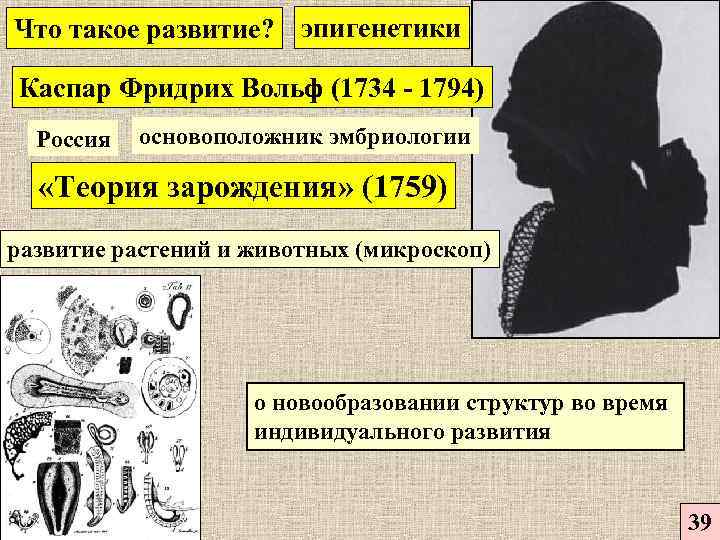 Что такое развитие? эпигенетики Каспар Фридрих Вольф (1734 - 1794) Россия основоположник эмбриологии «Теория