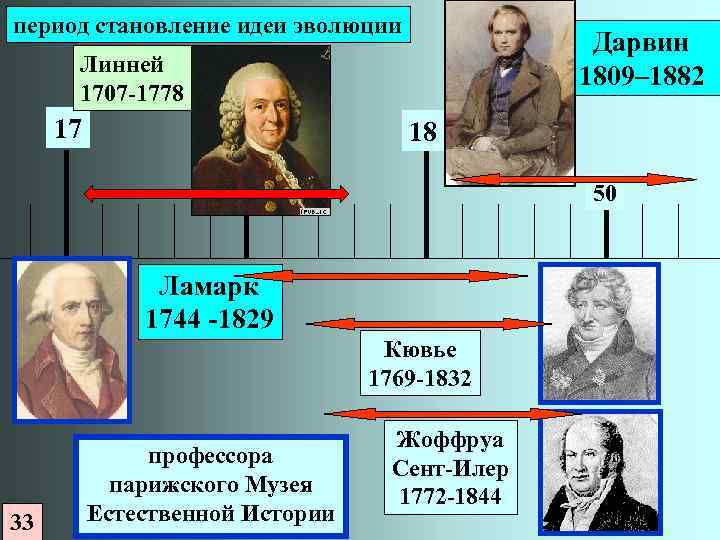 История возникновения и развития эволюционных идей. Эволюционные теории Линнея Ламарка и Дарвина. Линней Ламарк Дарвин. Эволюционные идеи Линнея. Возникновение эволюционных идей.