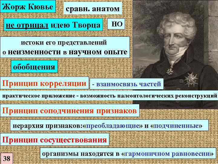 История развития представлений об эволюции